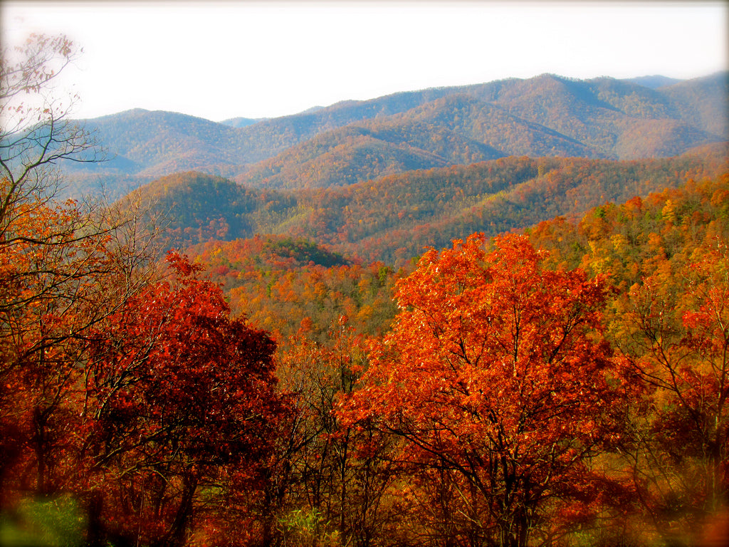 Q & A - Why'd you change your name from Spiritex to Asheville Apparel?