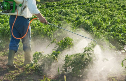 Organic Cotton 101